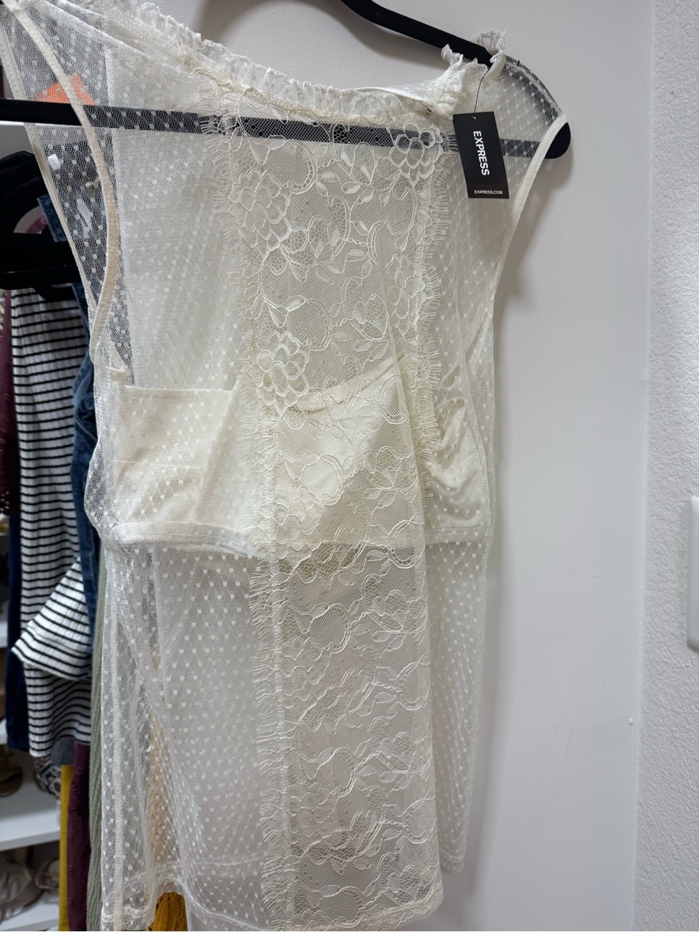 Express Ivory Lace & Dotted Mesh Sheer Chemise
